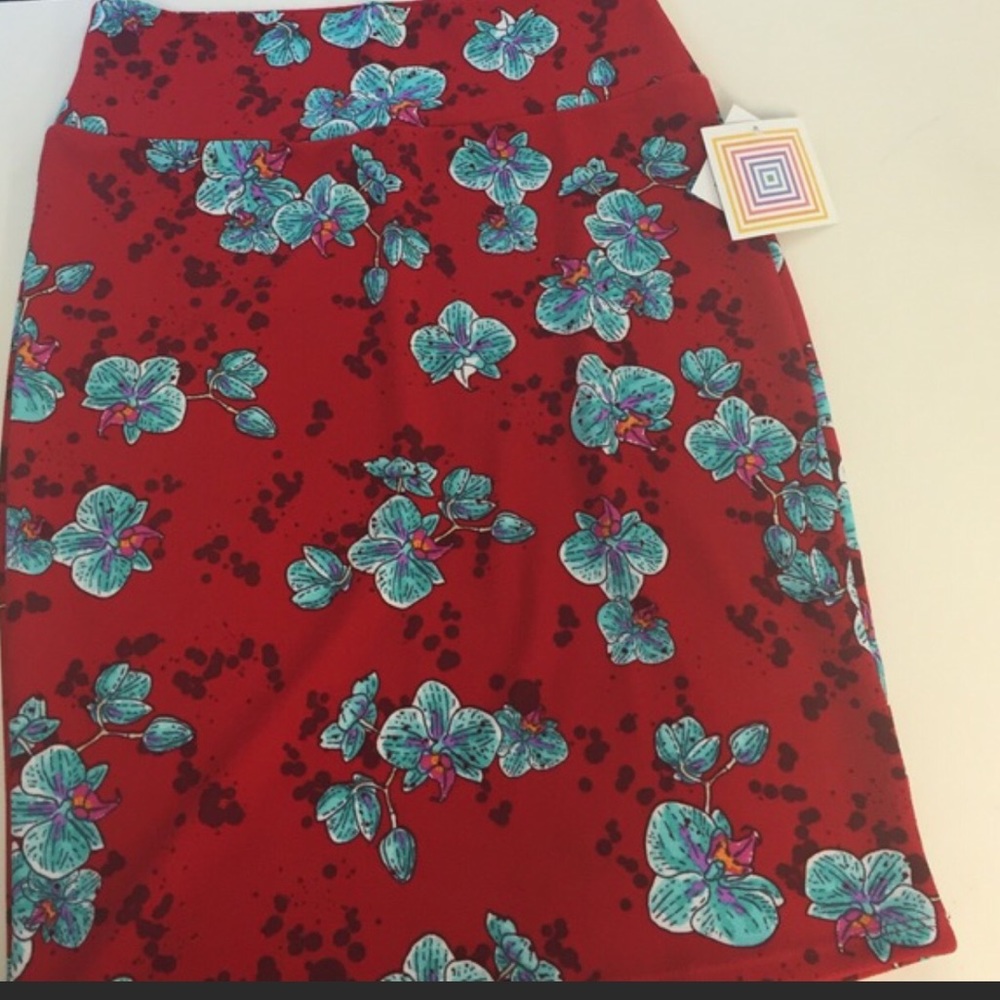 LulaRoe Cassie Skirt - Picture 3 of 6